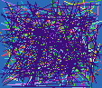 free background search