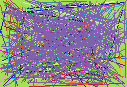 reverse directory phone numbers